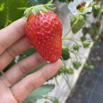 姫路ハートフル観光農園 - 