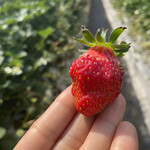 姫路ハートフル観光農園 - 