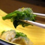 北新地 鮨 栞庵 やましろ - 