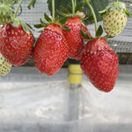 姫路ハートフル観光農園 - 