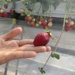 姫路ハートフル観光農園 - 