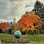 レストラン・モリエール - 通りの向かい側には、木々が美しく色づく円山公園が