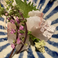 日本料理若林 - お造り