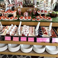 フォーシーズン - 