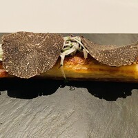 カンテサンス - 