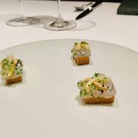 カンテサンス - 