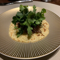 スガラボヴィー - 