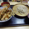 Tendon Tenya - 