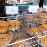 BAGEL STANDARD - 