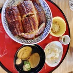 Sumiyaki Unafuji - 上うなぎ丼