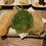 Ishigama Pittsu Xato Washoku To Sake Soru - 