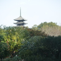 メインダイニングルーム 三笠 - 