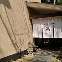 エルルカン・ビス - 