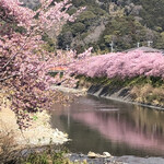 旬の味 ごろさや - 