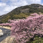 旬の味 ごろさや - 