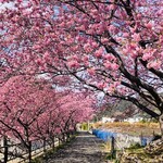 旬の味 ごろさや - 