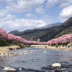 旬の味 ごろさや - 