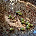 徳山鮓 - 翌朝食の1品