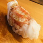 Sushi Kou - 車海老です。ほんのりと温かく、四枚に包丁目を入れ、シャリを包むように握ります。車海老とシャリが渾然一体化！