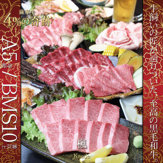 A5黒毛和牛×完全個室 龍乃華_1