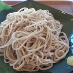 蕎麦ダイニングそばの里 - 蕎麦(接写)