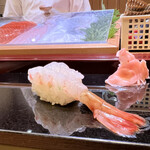 天鮨 - ぼたんえび