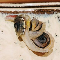 寿司割烹 魚紋 - さよりのわらび巻