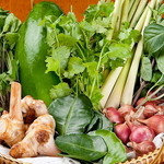Krungtep - タイ野菜は常時在庫あり！お気軽にお問い合わせ下さい！