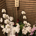 エクアトゥール - 