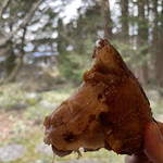 Miyoshiya Wakatori Senmonten