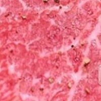 雪月花 大野店 - 