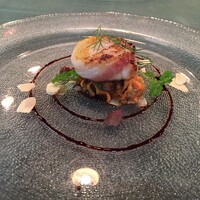 タンタ ローバ - 