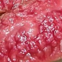 雪月花 大野店 - 