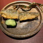 イル アオヤマ - 鮎