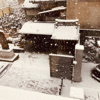 僧伽小野 京都浄教寺 - 