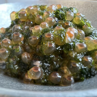 SUSHI TOKYO TEN、 六本木店 - 