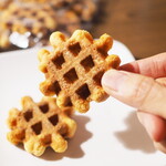 宗教法人シトー会那須の聖母修道院 - 