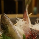 千春鮨 - アジ姿造り