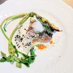 La Brianza - 熟成鰆のカルパッチョ芹と胡麻のフリット雲丹醤油ソース。漬けになっている味わい凝縮されたサワラが春の美味しさ。パリパリの胡麻のフリットが歯ざわりと香ばしい香りをそえていて、芹もまた美味♡