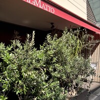 オッジ ダルマット 西麻布店 - 