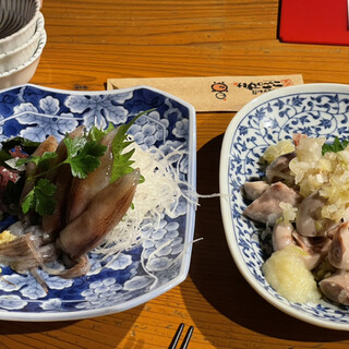 二代目こっこのすけ_0