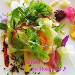 ミシェル・ブラス トーヤ ジャポン - 