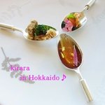 ミシェル・ブラス トーヤ ジャポン - 