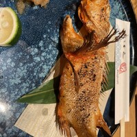 磯ぎよし 天神店 - 