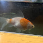 そば処 緑寿庵 - 