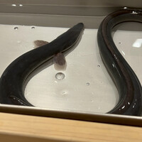 三宅輝 - 