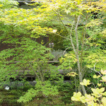 ドメイヌ ドゥ ミクニ - 木立の奥に見えるのが個室。