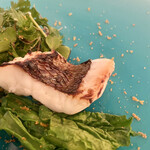 カーサ カルマ - まだい