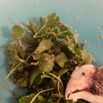 カーサ カルマ - はっぱ