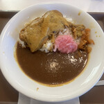 すき家 - 料理写真:ほろほろチキンカレー